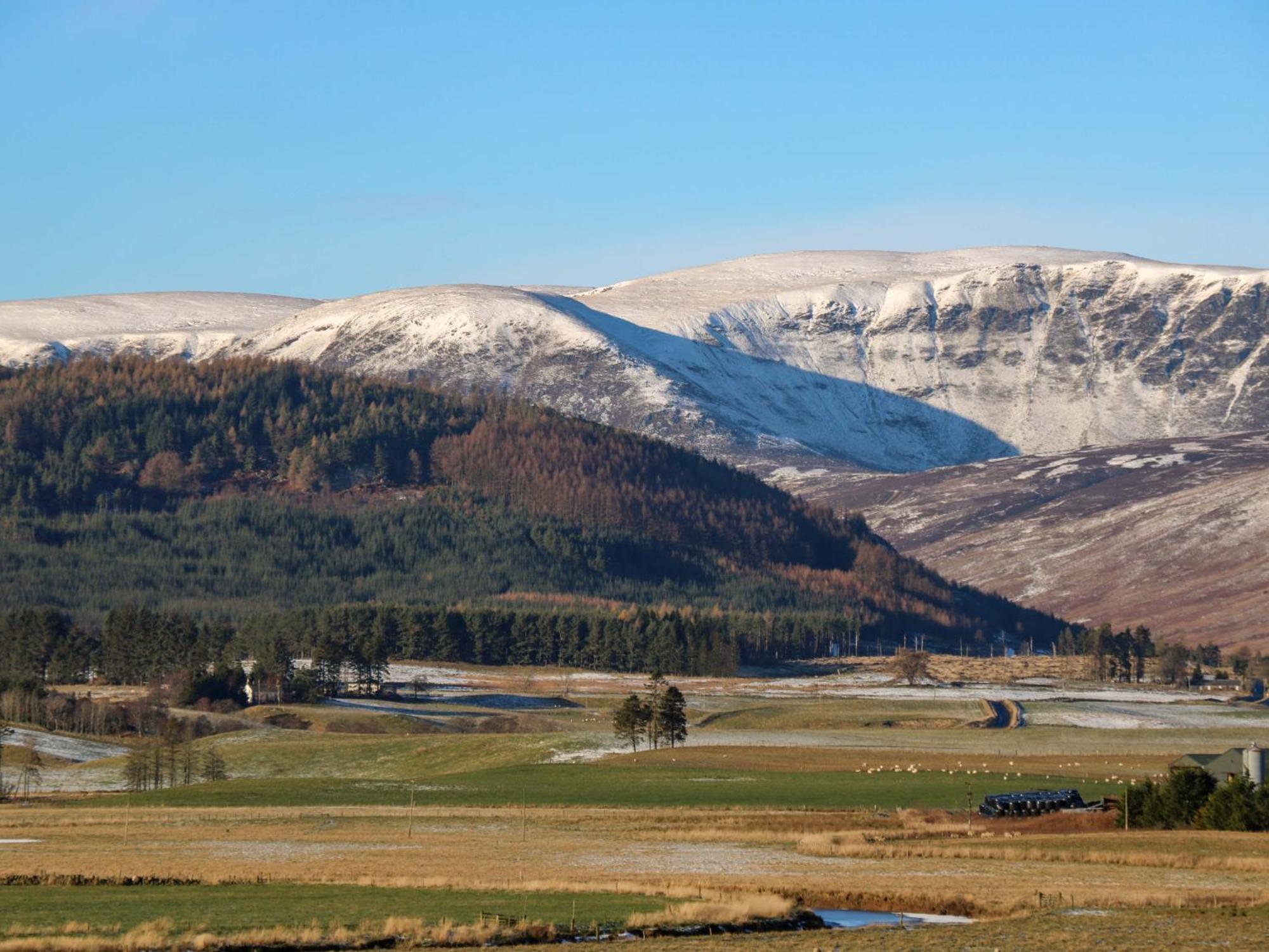 The Bothy Villa Kirriemuir Eksteriør bilde